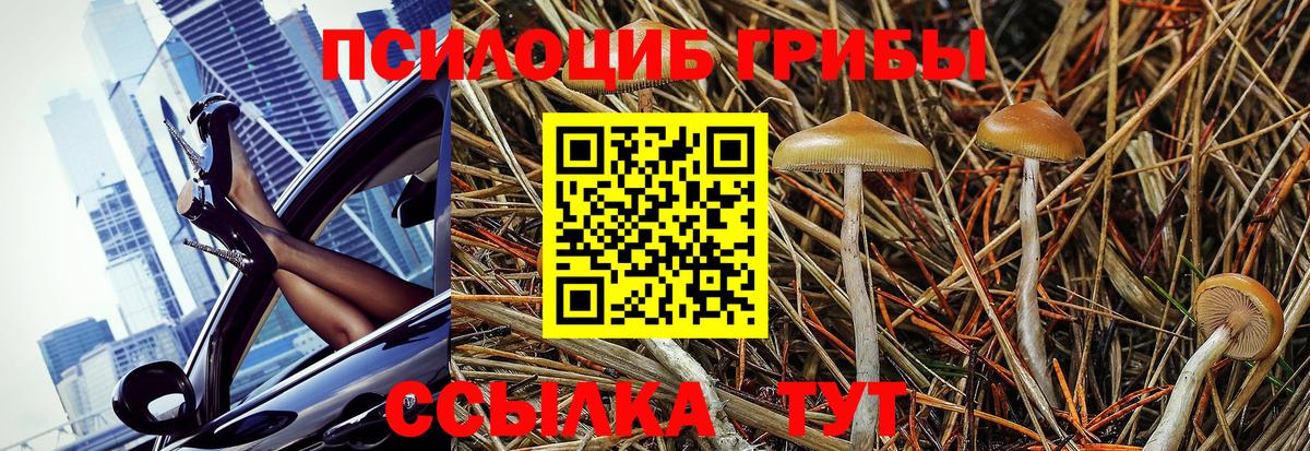 как найти закладки  Вход с VPN  Десногорск  Псилоцибиновые грибы мицелий  Галлюциногенные грибы GOLDEN TEACHER 