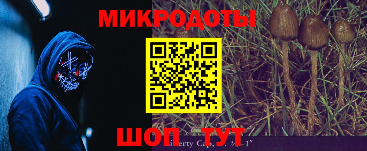 Псилоцибиновые грибы мухоморы Десногорск